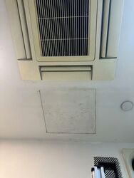 Suites @ Bukit Timah (D21), Shop House #479289331